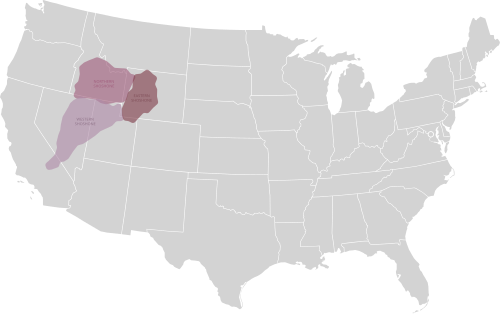 Shoshone language